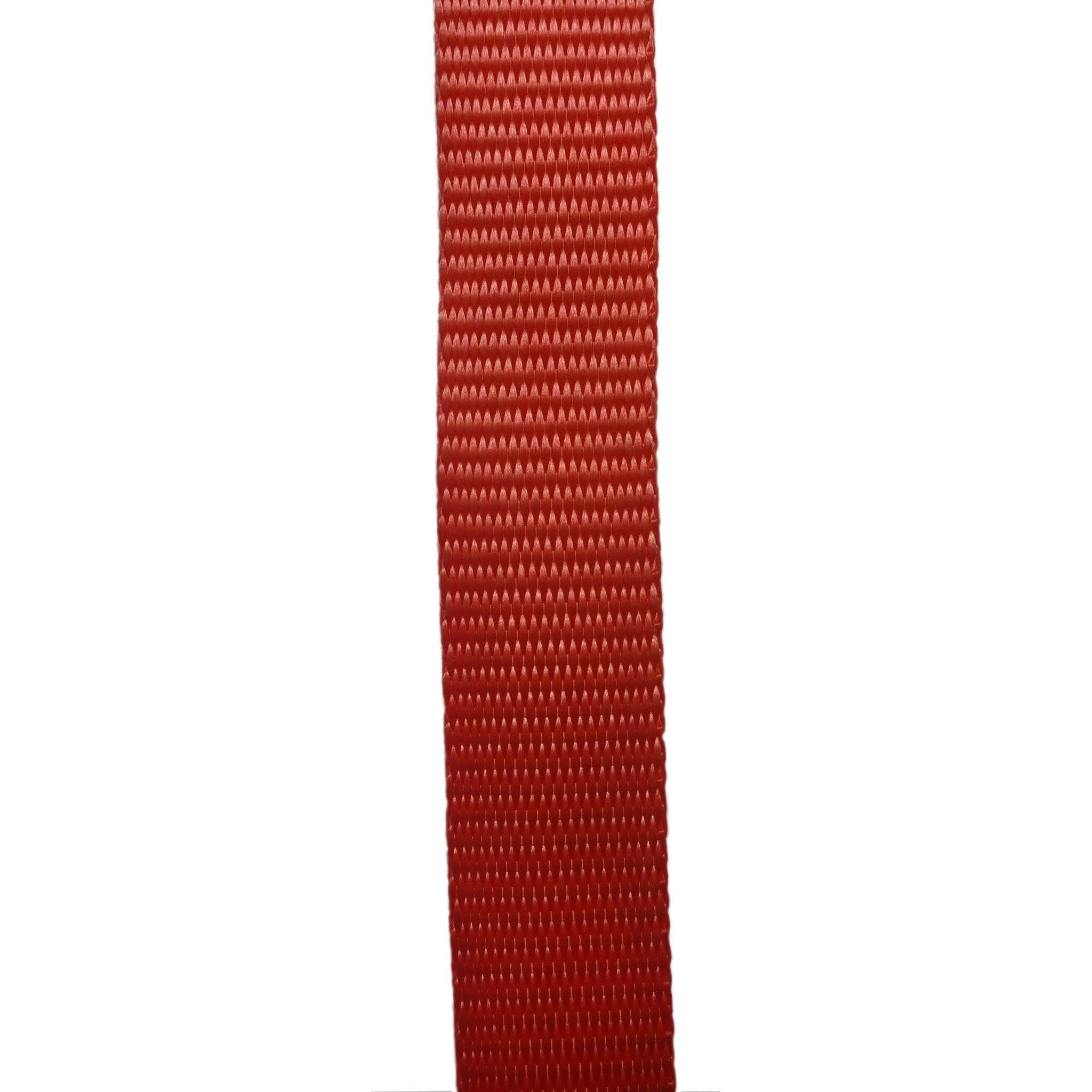 Lashing Webbing 25 mm