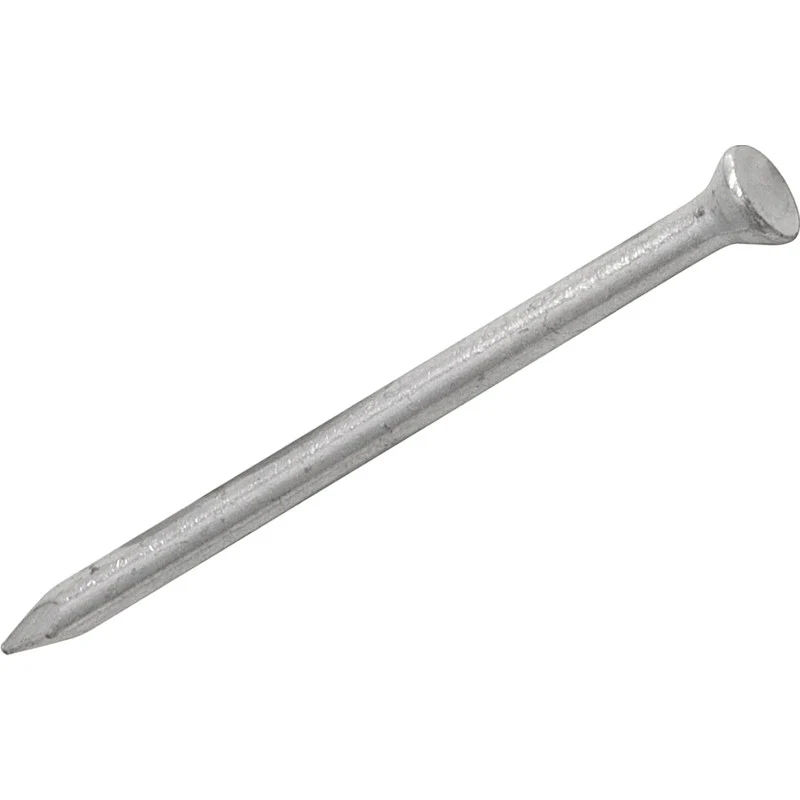 Masonry Nails (Assorted)