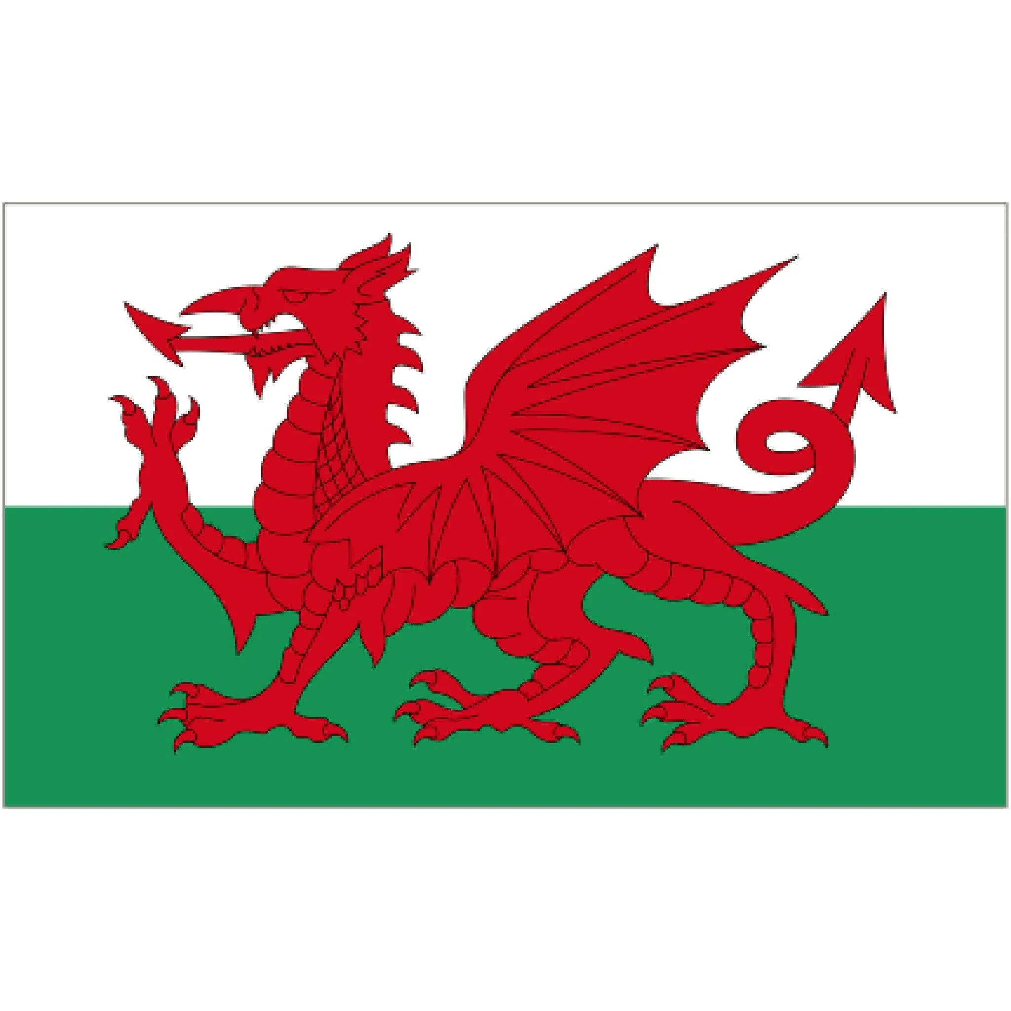 Courtesy Flag - Welsh Dragon